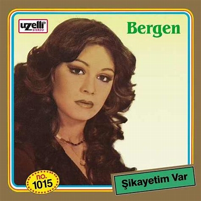 Bergen Falcı